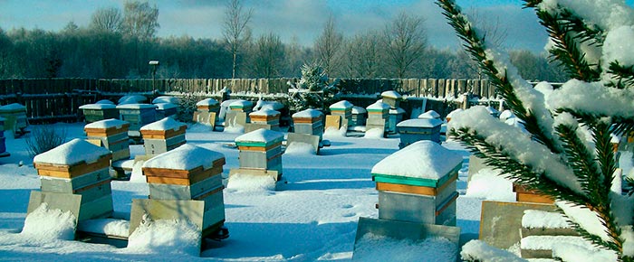 Зимняя-и-весенняя-подкормка-пчел-3.jpg