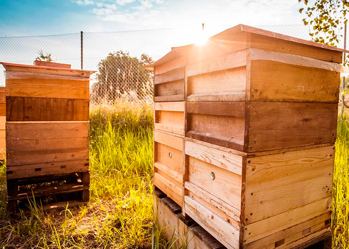 Товары для пчеловодов