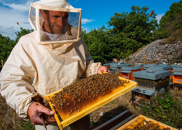 Как сделать смотровой пчелиный улей своими руками