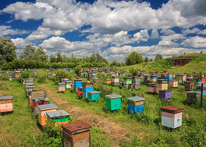 Магазин пчеловода БИРУКОМ товары для пчеловодства