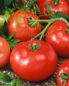 картинка Семена томата ЭС F1 Рюрик от магазина ТД Здоровье от Природы