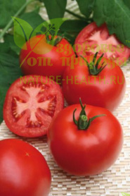 картинка Семена томата ЭС F1 Майдан от магазина ТД Здоровье от Природы